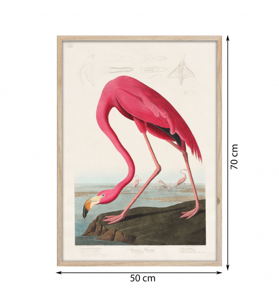 Obraz framepic Flamingo 50x70 cm