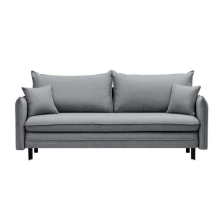 Sofa z funkcją spania i pojemnikiem Notti, ciemnoszara