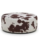 Moo 45