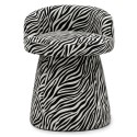 Zebra 19