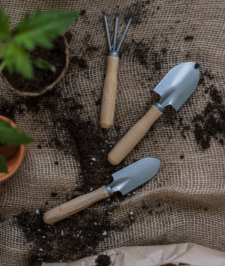 Niezbędne akcesoria do uprawy roślin: łopatka, grabki oraz mały szpadel.